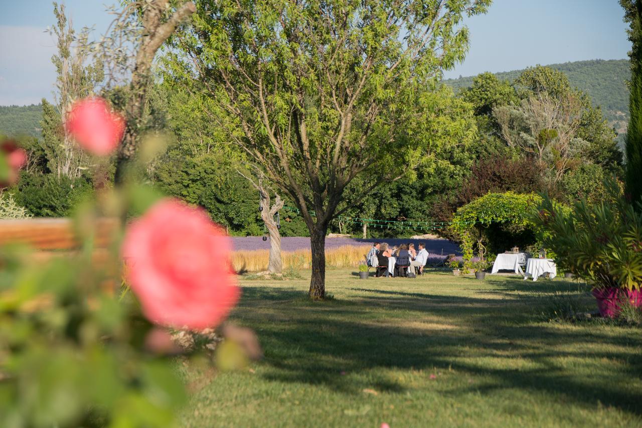 La Bastide Des Bourguets, Mont Ventoux - Adults Only Bed and Breakfast Sault-de-Vaucluse Buitenkant foto