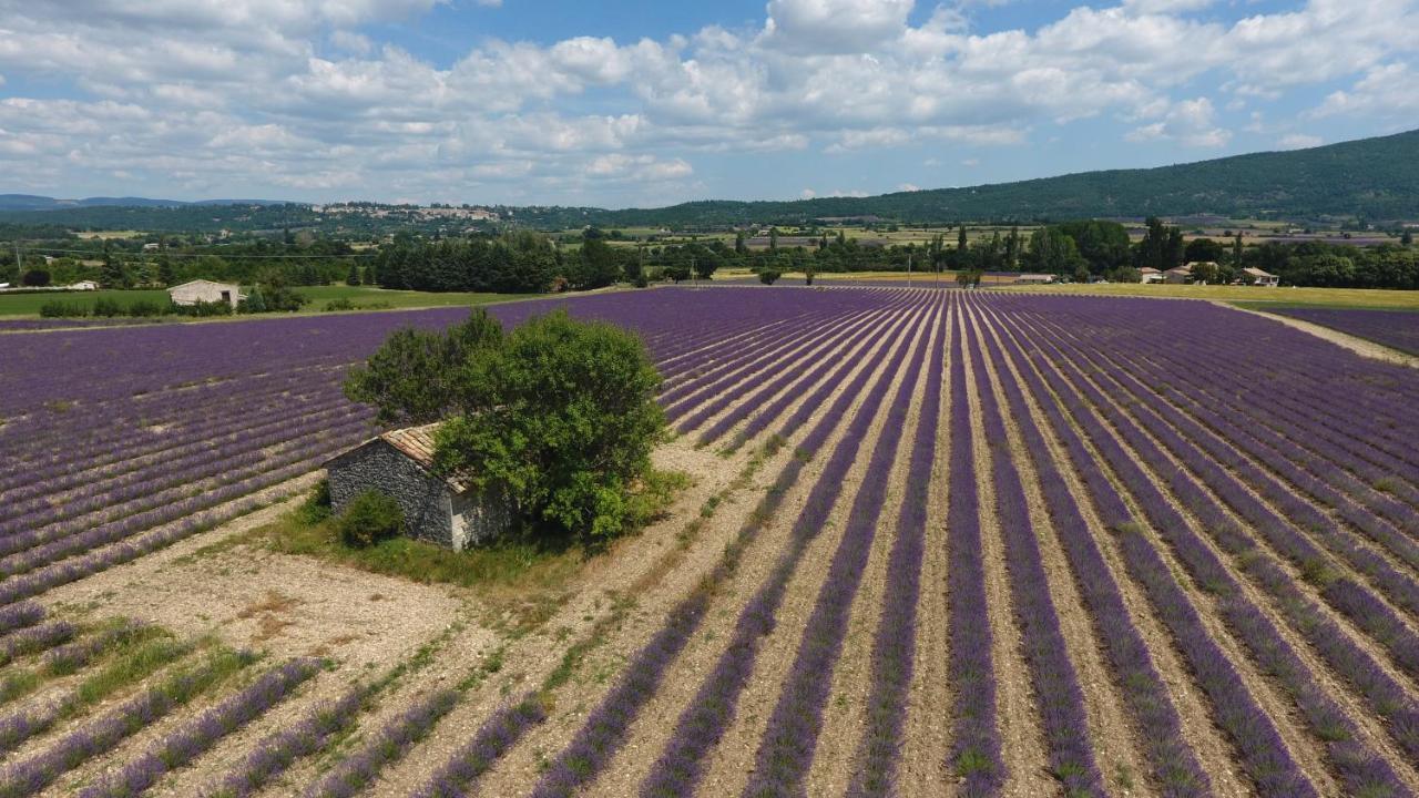 La Bastide Des Bourguets, Mont Ventoux - Adults Only Bed and Breakfast Sault-de-Vaucluse Buitenkant foto