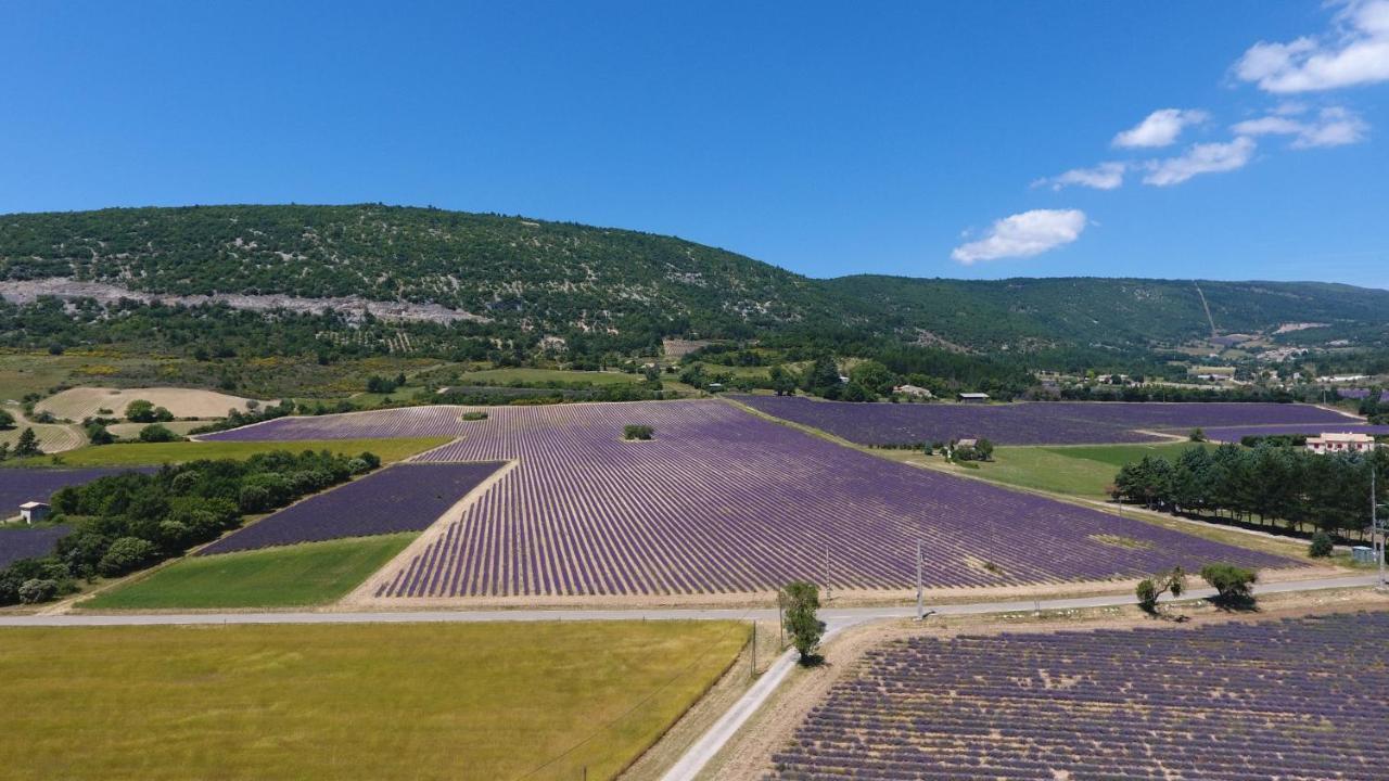 La Bastide Des Bourguets, Mont Ventoux - Adults Only Bed and Breakfast Sault-de-Vaucluse Buitenkant foto