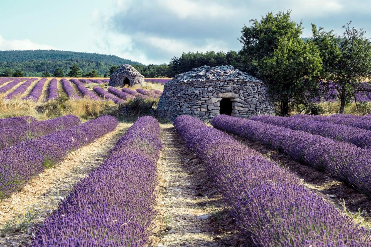 La Bastide Des Bourguets, Mont Ventoux - Adults Only Bed and Breakfast Sault-de-Vaucluse Buitenkant foto